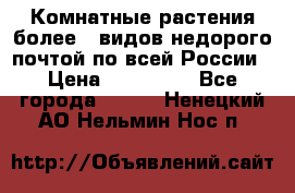 Комнатные растения более200видов недорого почтой по всей России › Цена ­ 100-500 - Все города  »    . Ненецкий АО,Нельмин Нос п.